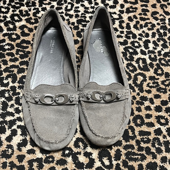 Coach Shoes - Coach Grey Suede Loafers for Women